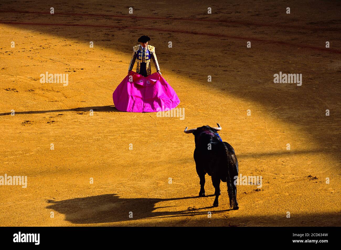 Corrida de toros, Sevilla, Andalucía, España Foto de stock