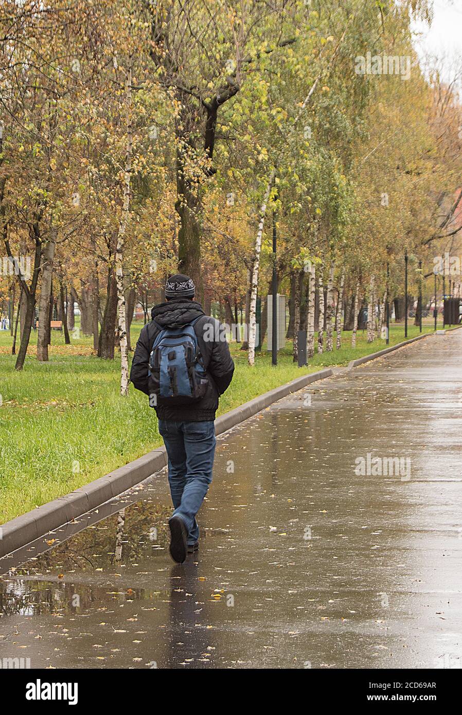 Un hombre con ropa de abrigo con una mochila, caminando a lo largo de un  callejón húmedo en el Parque, en el otoño en el tiempo nublado, vista desde  la parte de
