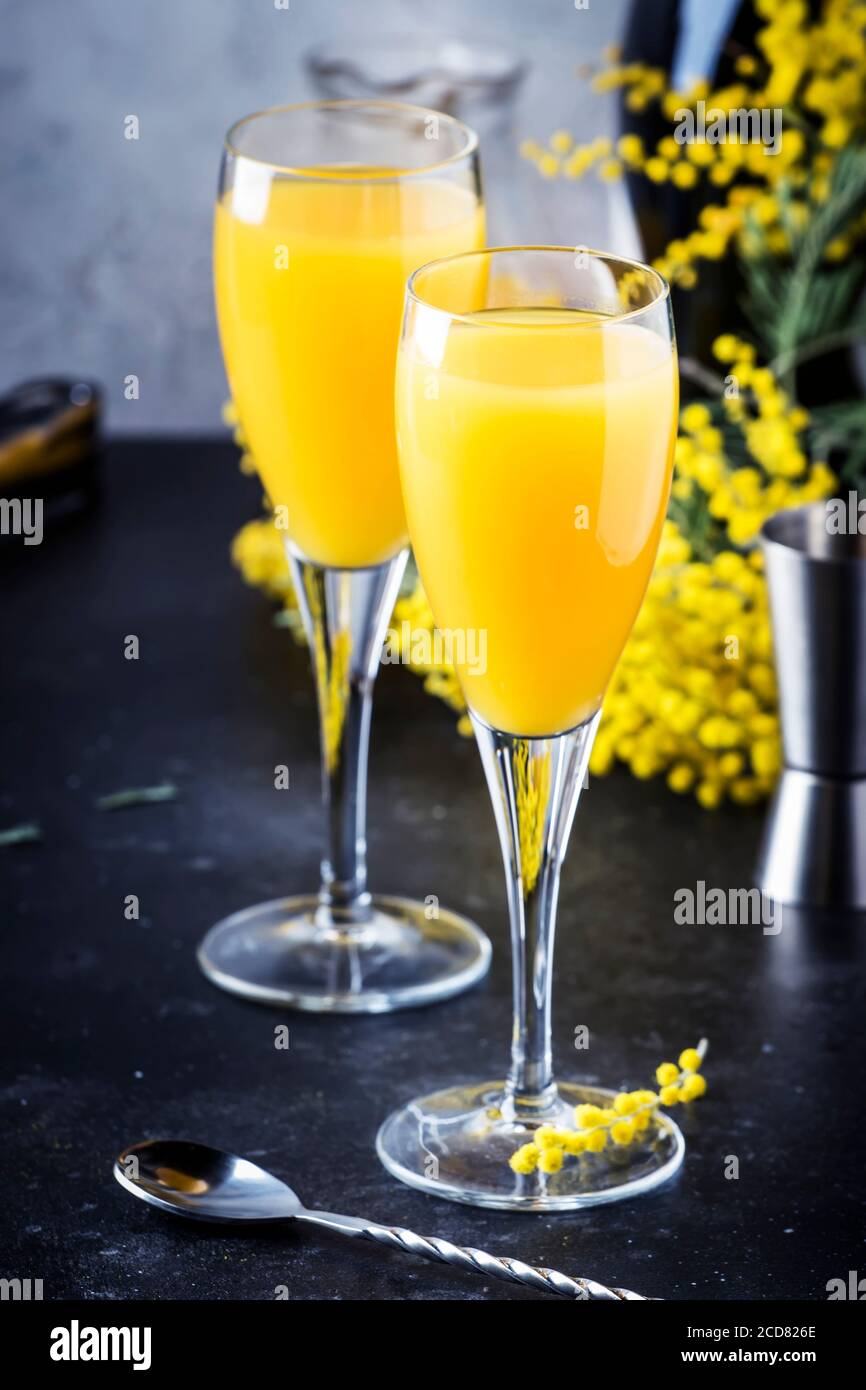 Cóctel de alcohol Mimosa con jugo de naranja y champagne seco frío o vino  espumoso en copas, barra gris fondo con flores de yelow, copia sp  Fotografía de stock - Alamy