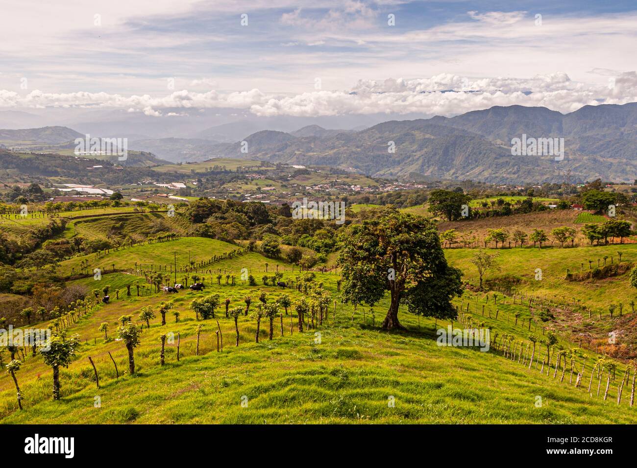 Colinas agrícolas en Costa Rica Foto de stock