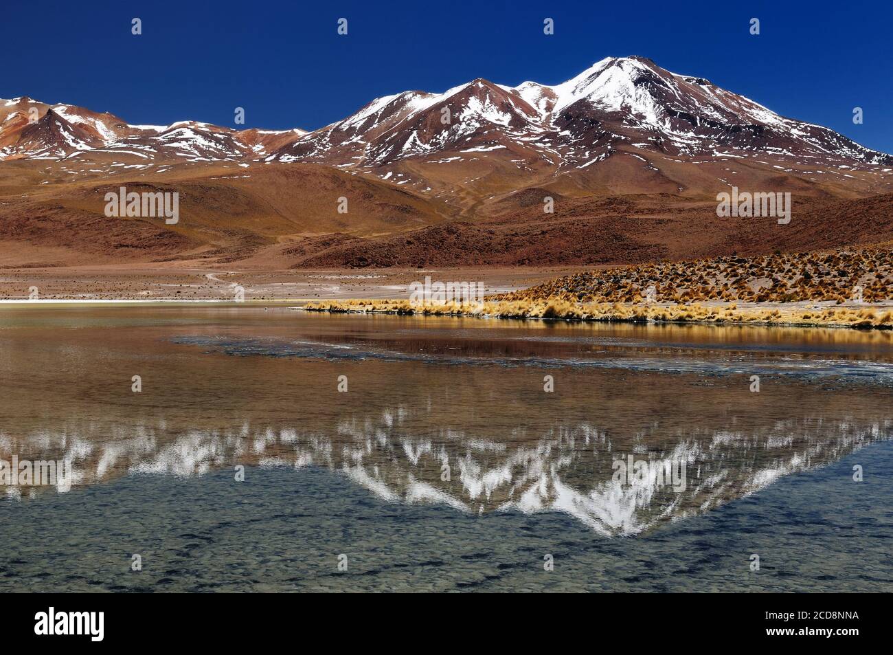 Bolivia - el más bello de los Andes en América del Sur. El paisaje surrealista es casi desarbolado, salpicada por colinas y volcanes chilenos cercano Foto de stock