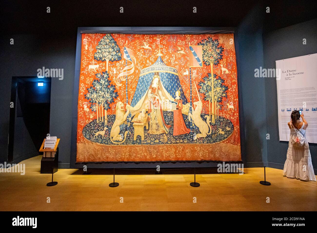 Francia, París, Museo Nacional de la Edad Media-Museo Cluny, tapices de la Señora con el Unicornio: Mi único deseo Foto de stock