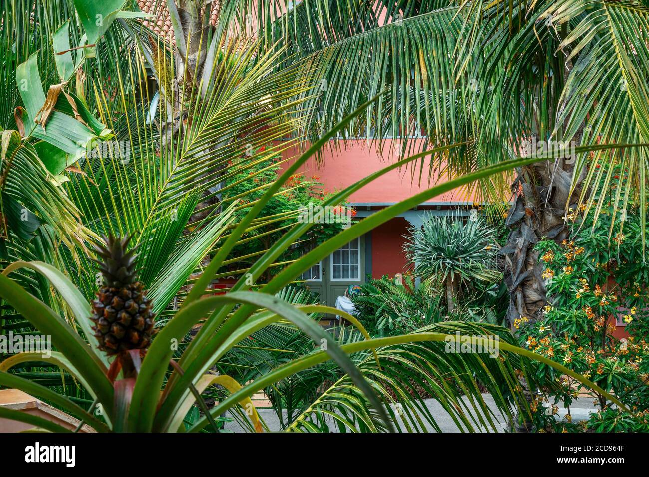 España, Islas Canarias, la Palma, vista a un exuberante jardín tropical Foto de stock