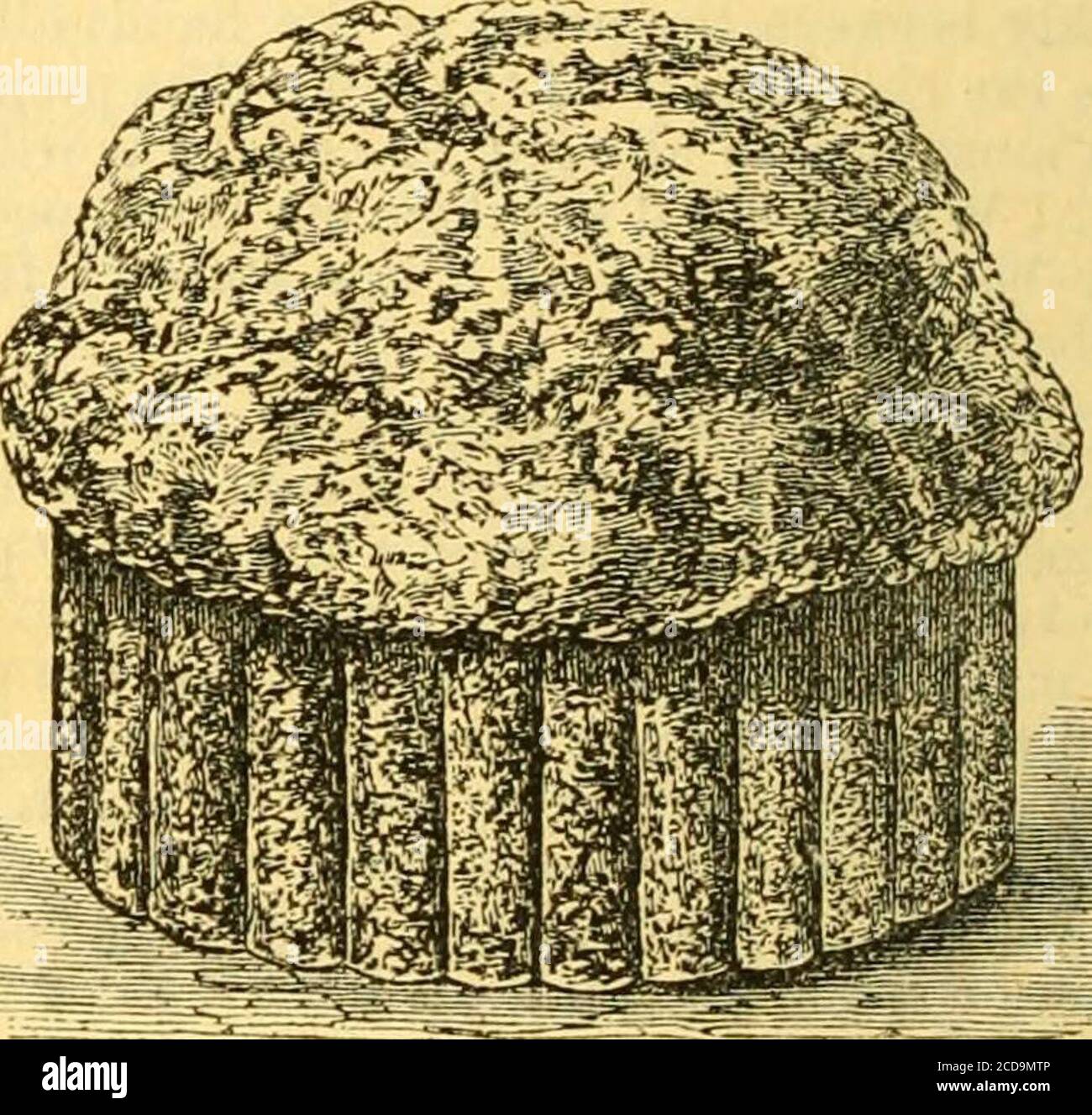 El diccionario de cocina de Cassell : contiene cerca de nueve mil recetas .  cinta a keepit en forma. Ijake en un horno moderado. Tobake de tiempo, una  hora y media