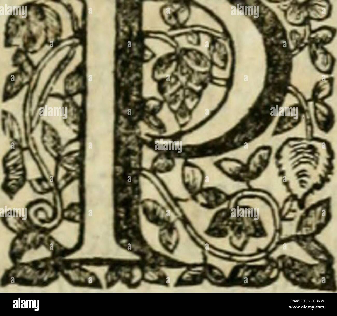 Morte E Vita Fotos E Imagenes De Stock Alamy