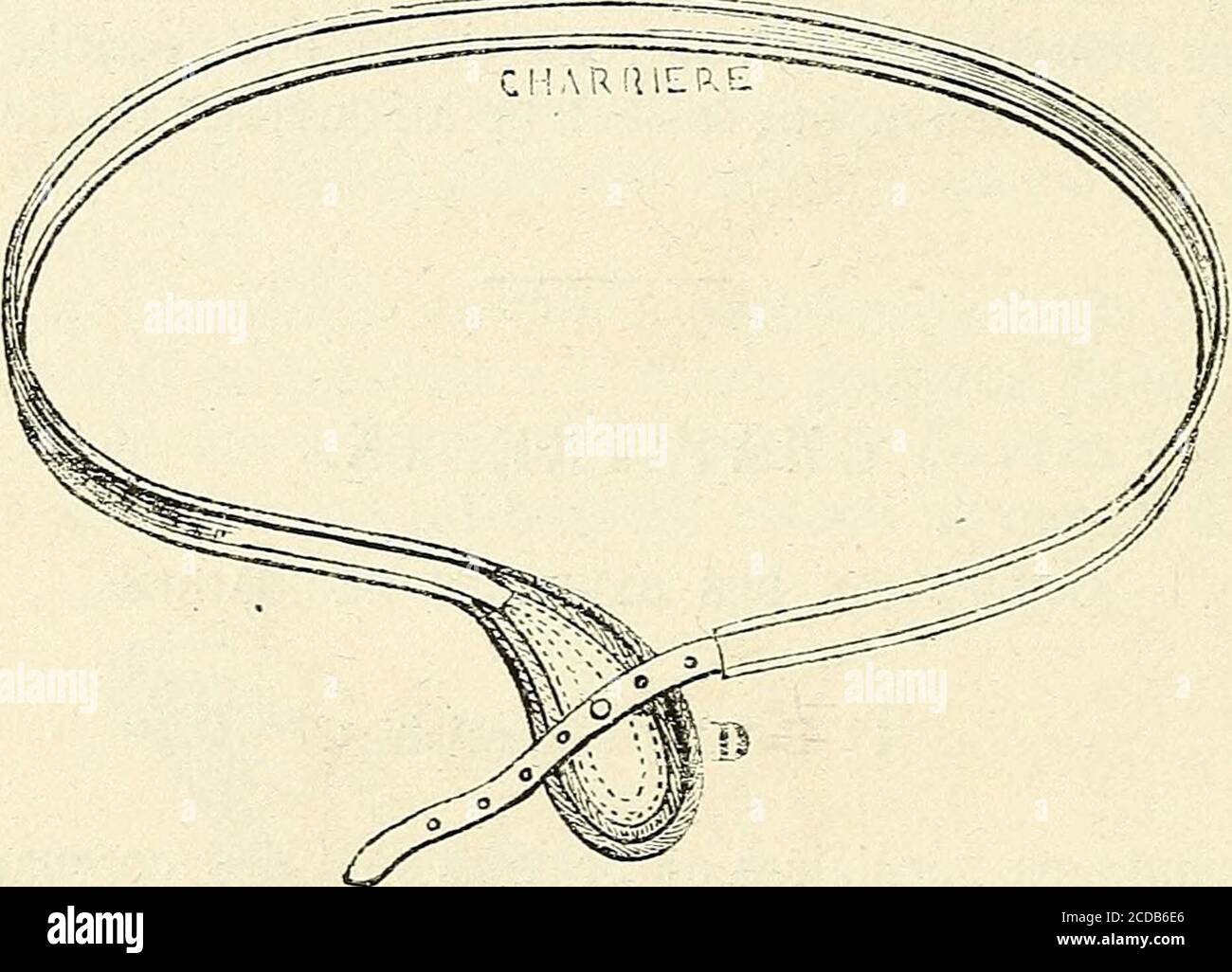 Manuel de petite chirurgie . qui souvent présente, au point ou elle se  trove fixée,une partie plus étroite et légèrement tordue, désignée sous  lenorn de col; 3 dune garniture de peau