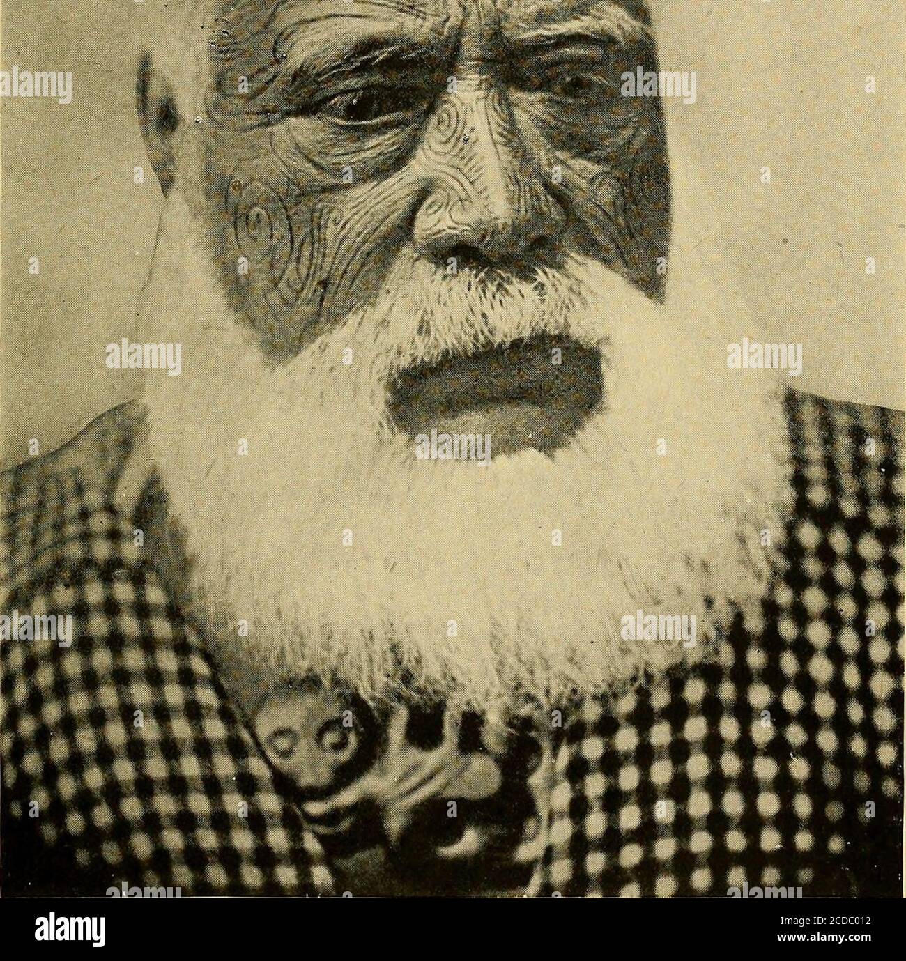 Flitted Fotos E Imagenes De Stock Alamy