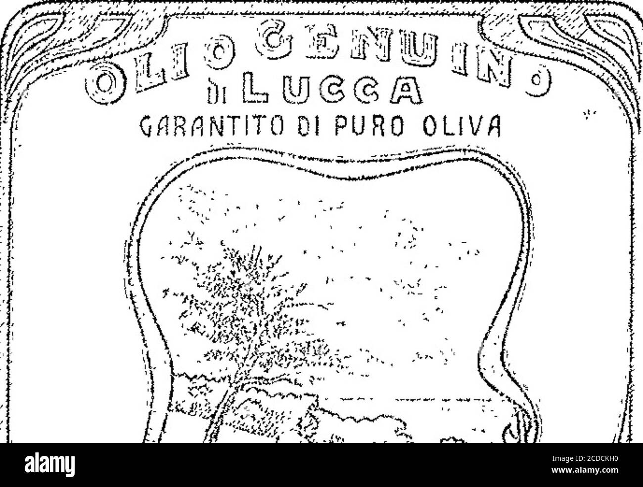 Dc 1905 Fotos E Imagenes De Stock Alamy
