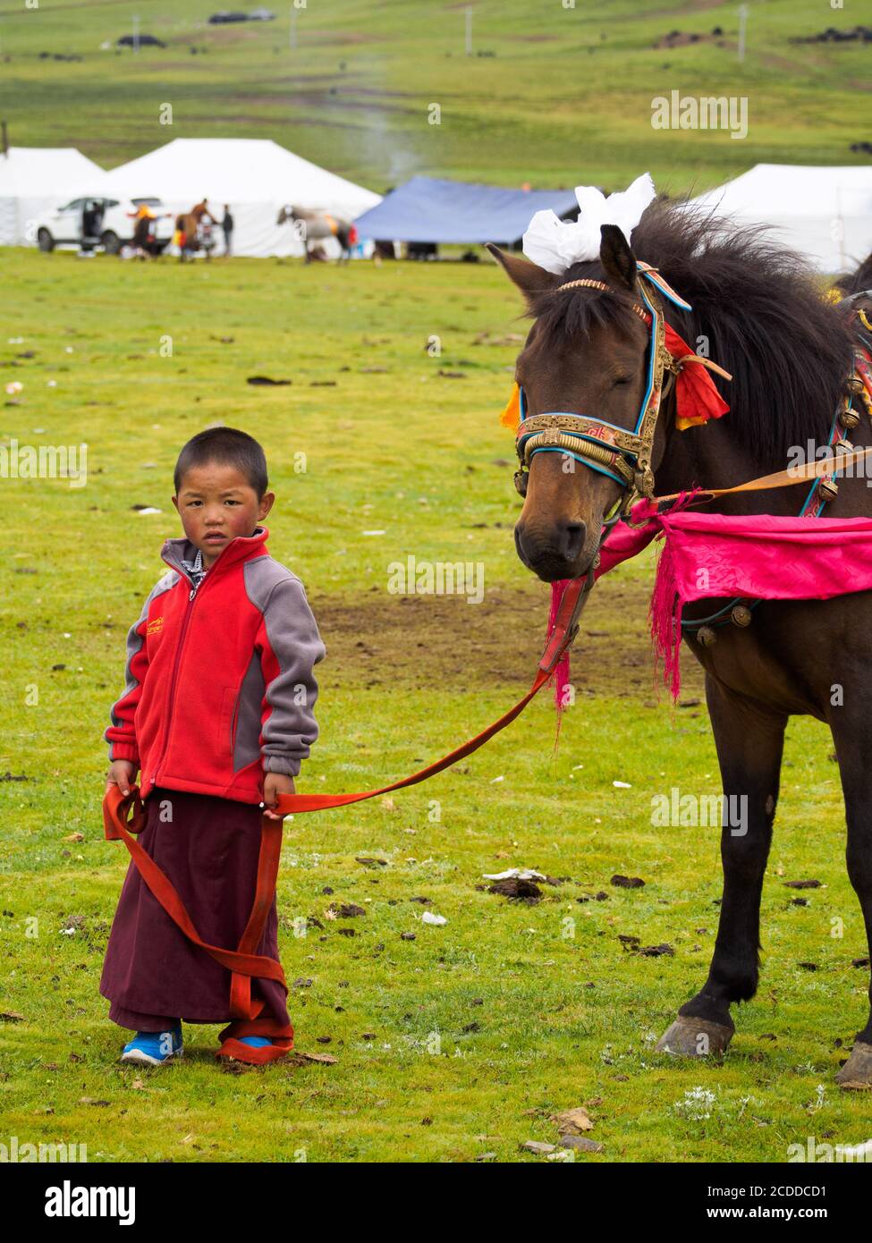 Un joven está dirigiendo el caballo de carreras en el festival de caballos cerca de la ciudad de Litang. Foto de stock