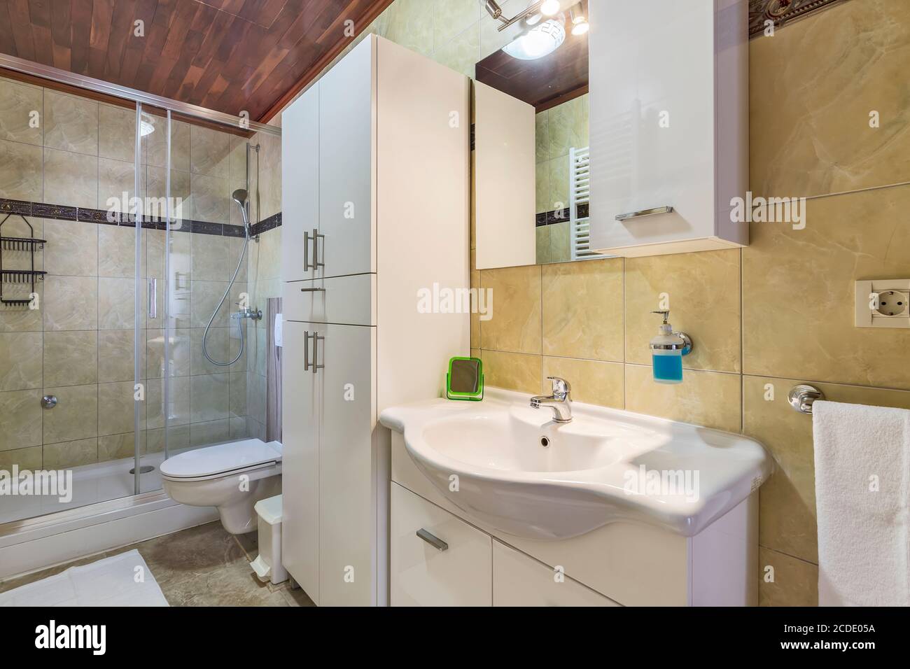 Interior de un cuarto de baño moderno y ducha Foto de stock