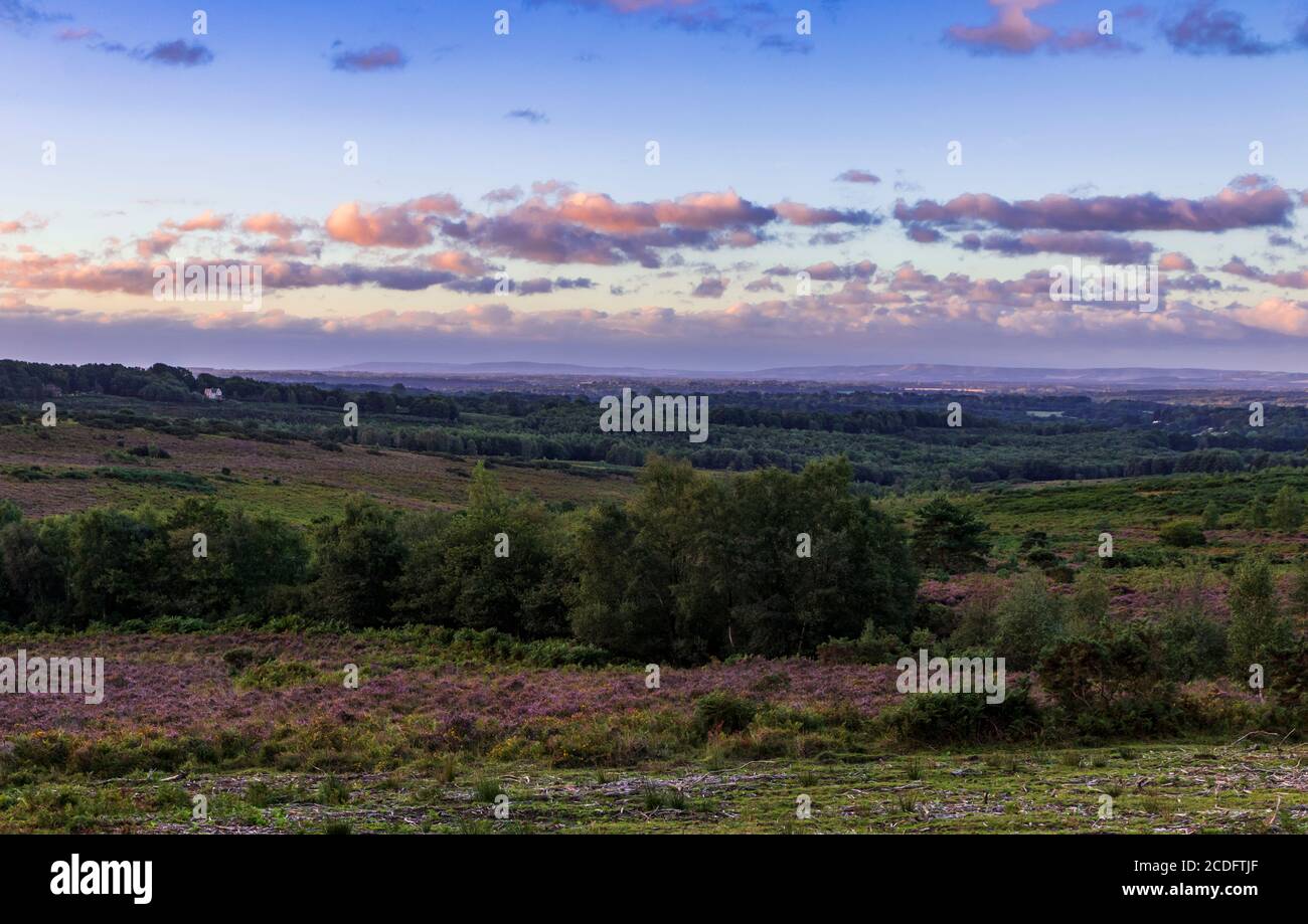 Amanecer sobre Ashdown Forest desde Stone Hill en East Sussex sureste de Inglaterra con los Downs del Sur en el horizonte Foto de stock