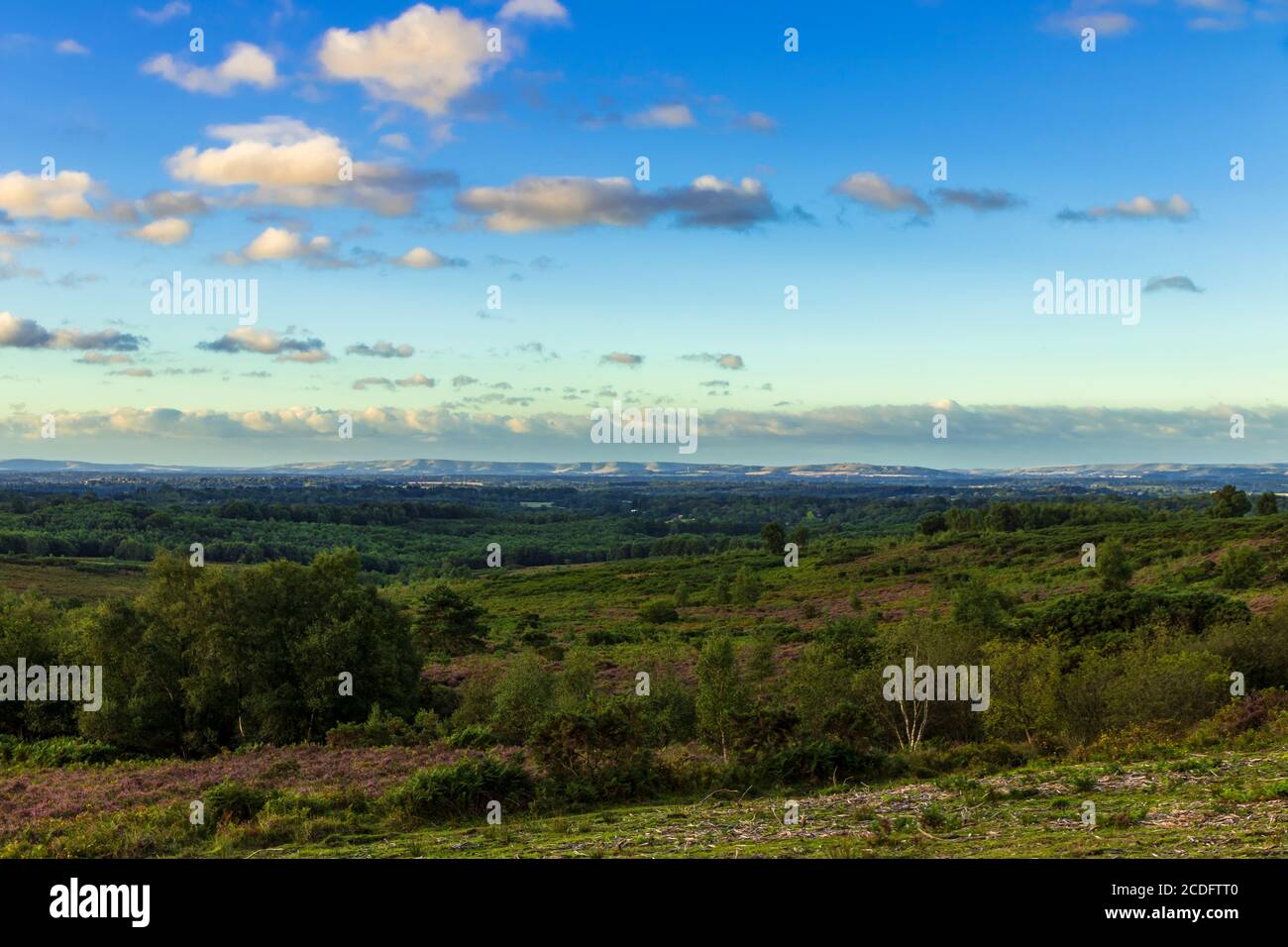 Amanecer sobre Ashdown Forest desde Stone Hill en East Sussex sureste de Inglaterra con los Downs del Sur en el horizonte Foto de stock