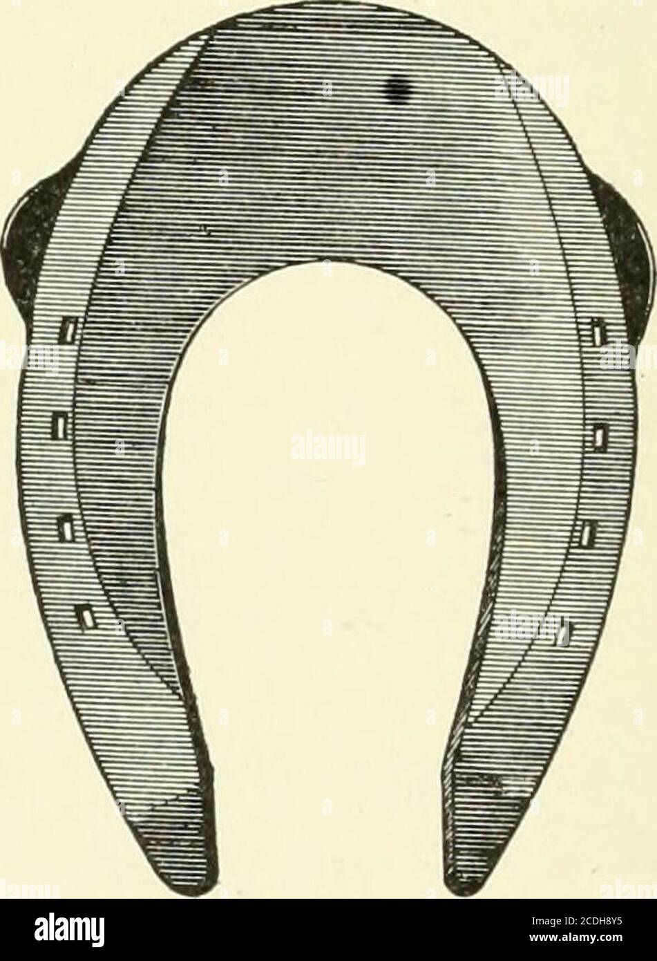 Un libro de texto de juego de la herradura, para herreros y veterinarios.  Un zapato de barra bien cubierto (ancho-tejido), con dos pinzas laterales y  una pinza de extremo, para un