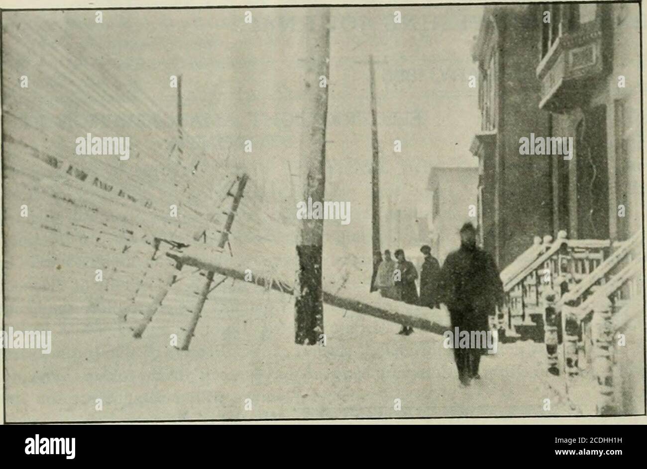 aa bolsagage restrictions