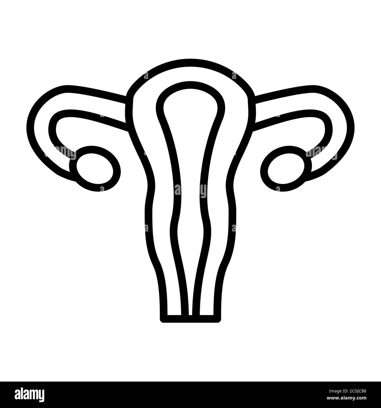 Icono de línea de anatomía del órgano femenino Foto de stock