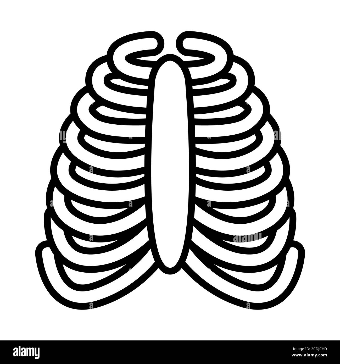 Icono de línea de anatomía lateral Foto de stock
