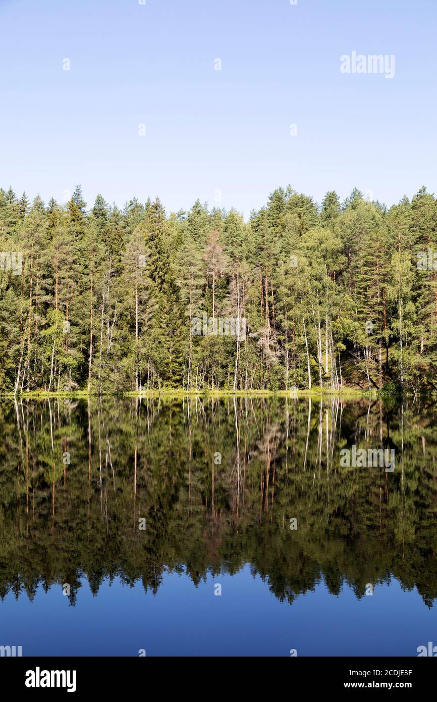 Lago Devil's cerca de Aglona, Letonia. El lago, conocido como Velnezers en Letón, es conocido por no tener vida. Foto de stock