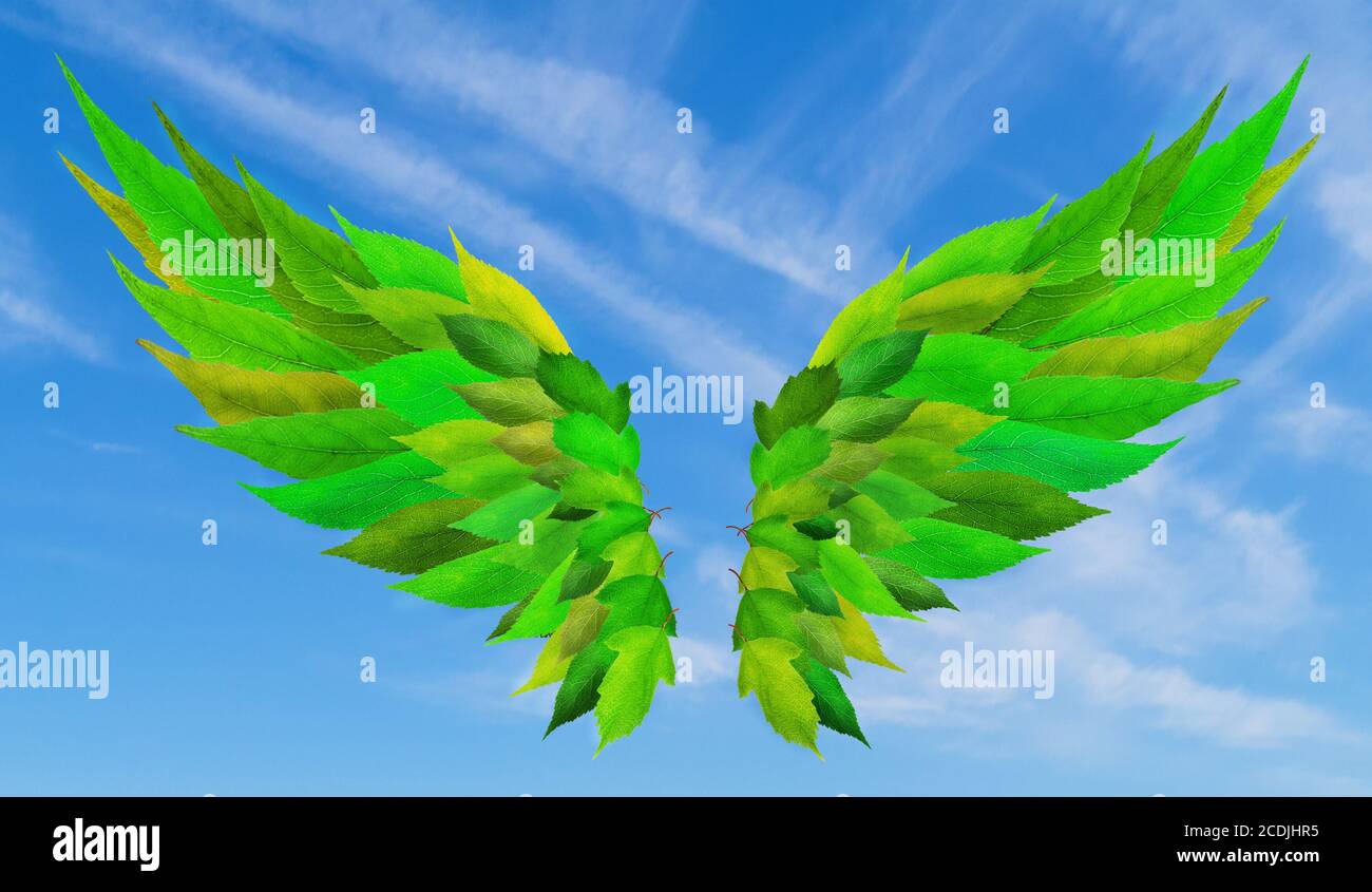 Concepto de alas verdes Foto de stock