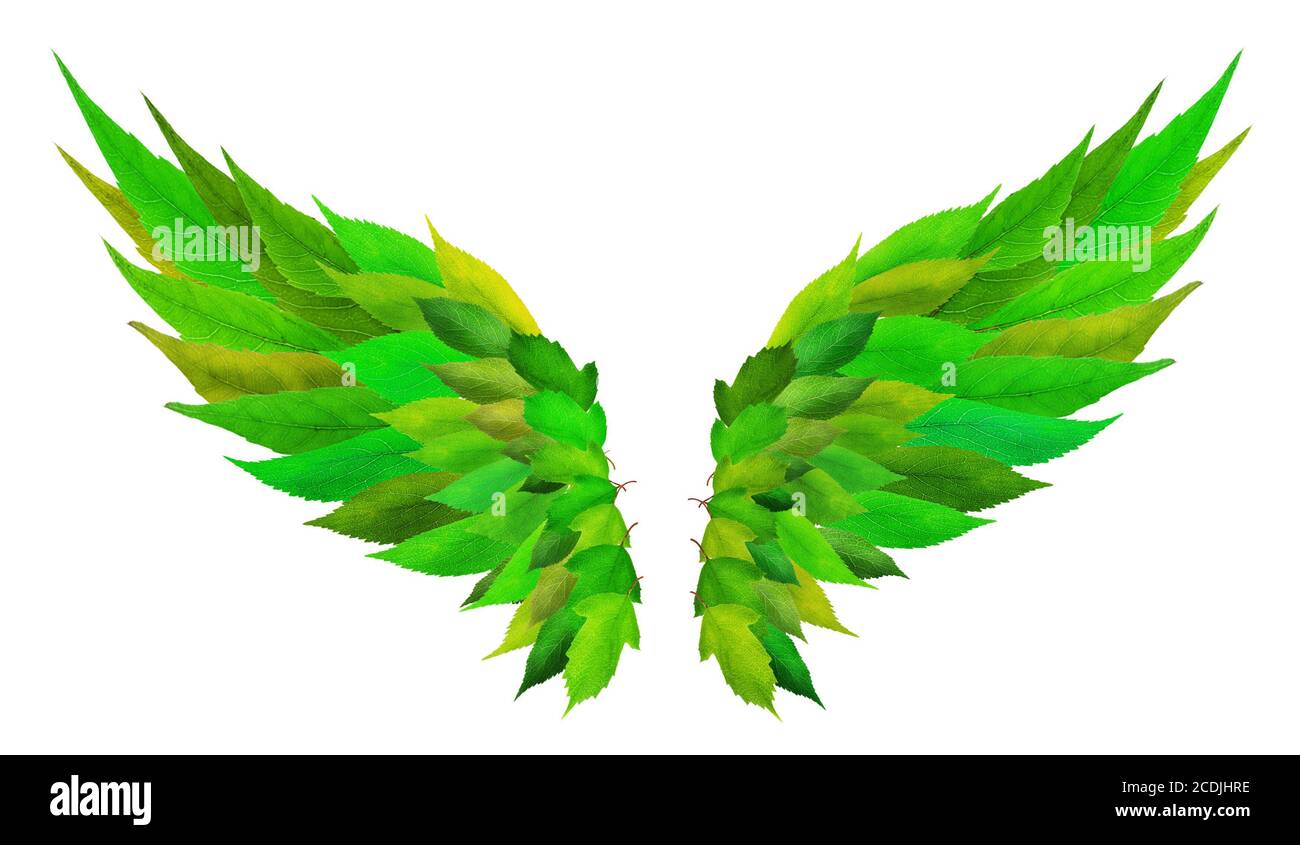 Concepto de alas verdes Foto de stock