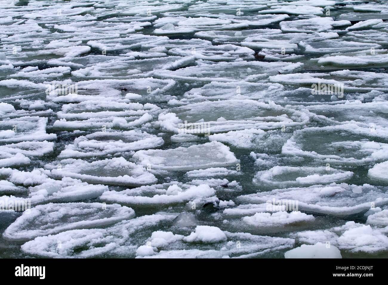 hielo marino Foto de stock