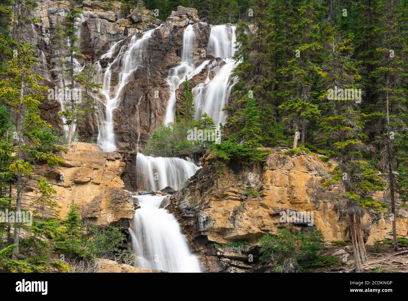 Tangle Creek Falls a lo largo de Icefields Parkway, Jasper National Park, Alberta, Canadá. Foto de stock