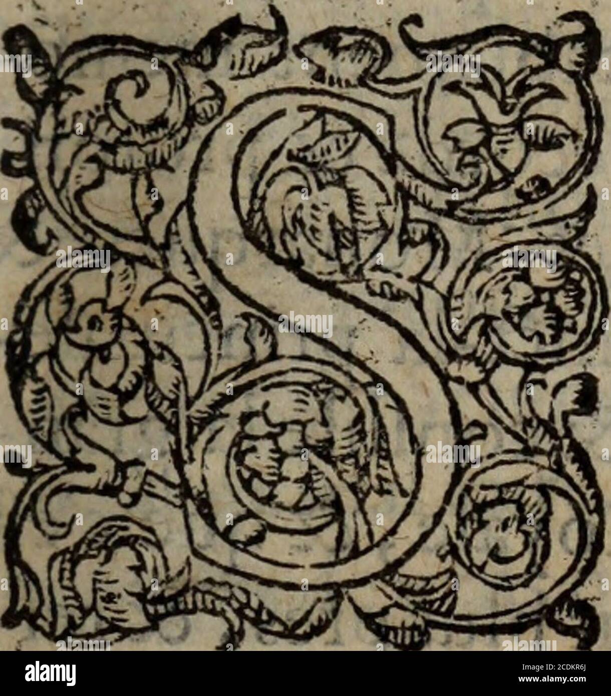 Les Oeuvres Morales Et Meslees Vous Prez Plaiiir A Pof Fter Scepters Ot A Feoir Eiithrones Royaux Ditsalo Mon5aime2la Iapienceja Frique Vous Regniez Eternelle Ment Aimez La Niere Defapieejvous Qui Comdan I Peuez