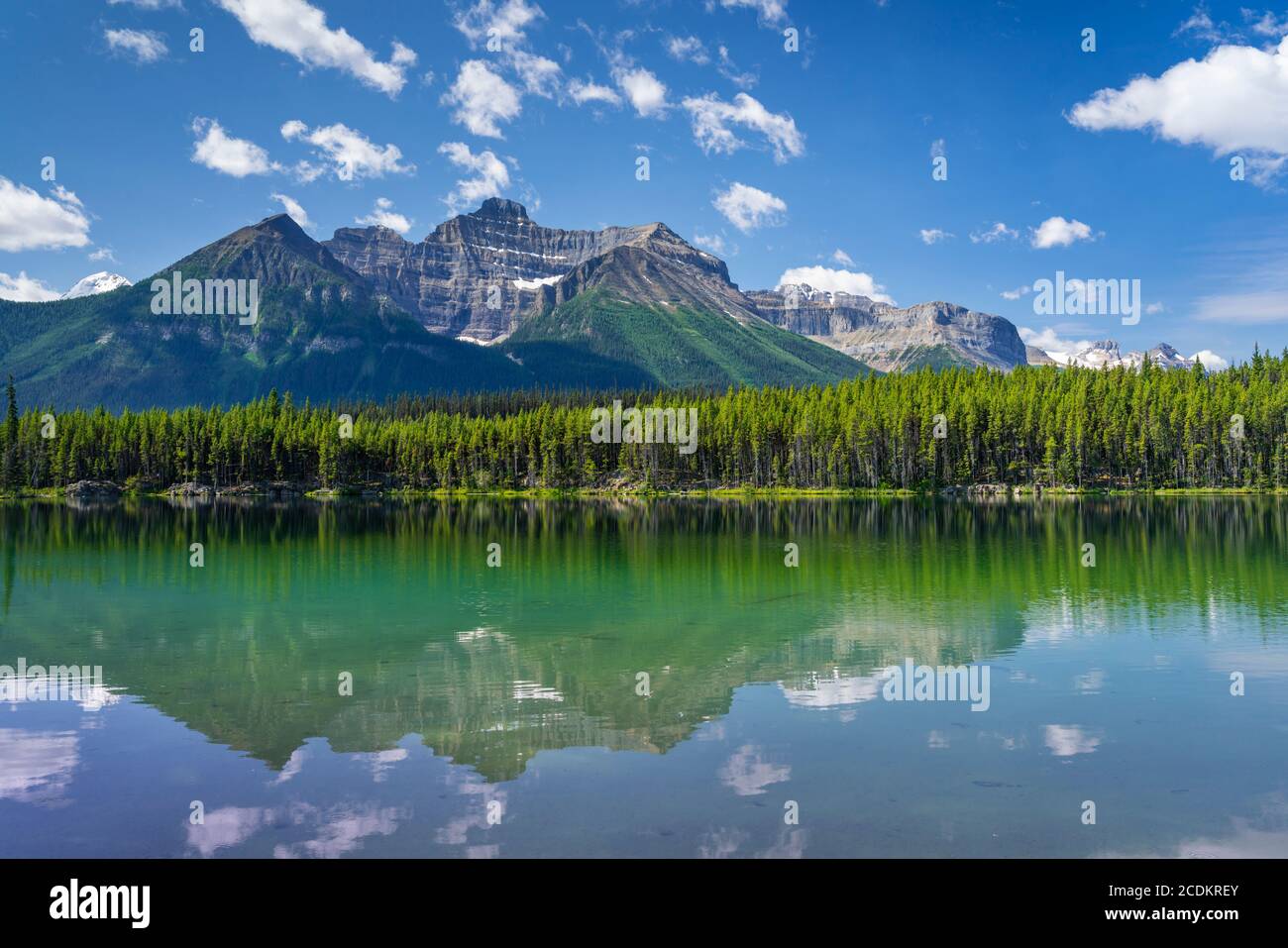 Herbert Lake Reflections en Banff National Park, Icefields Parkway, Alberta, Canadá. Foto de stock