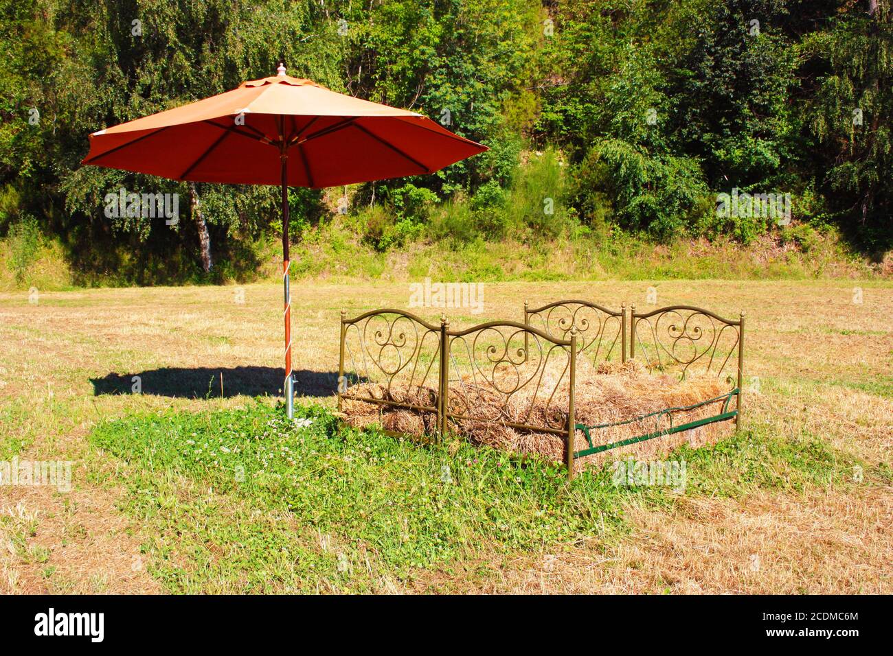 tablas de la cama de hierro llenas de paja de heno en un claro bajo un  paraguas rojo en el bosque de la toscana Fotografía de stock - Alamy