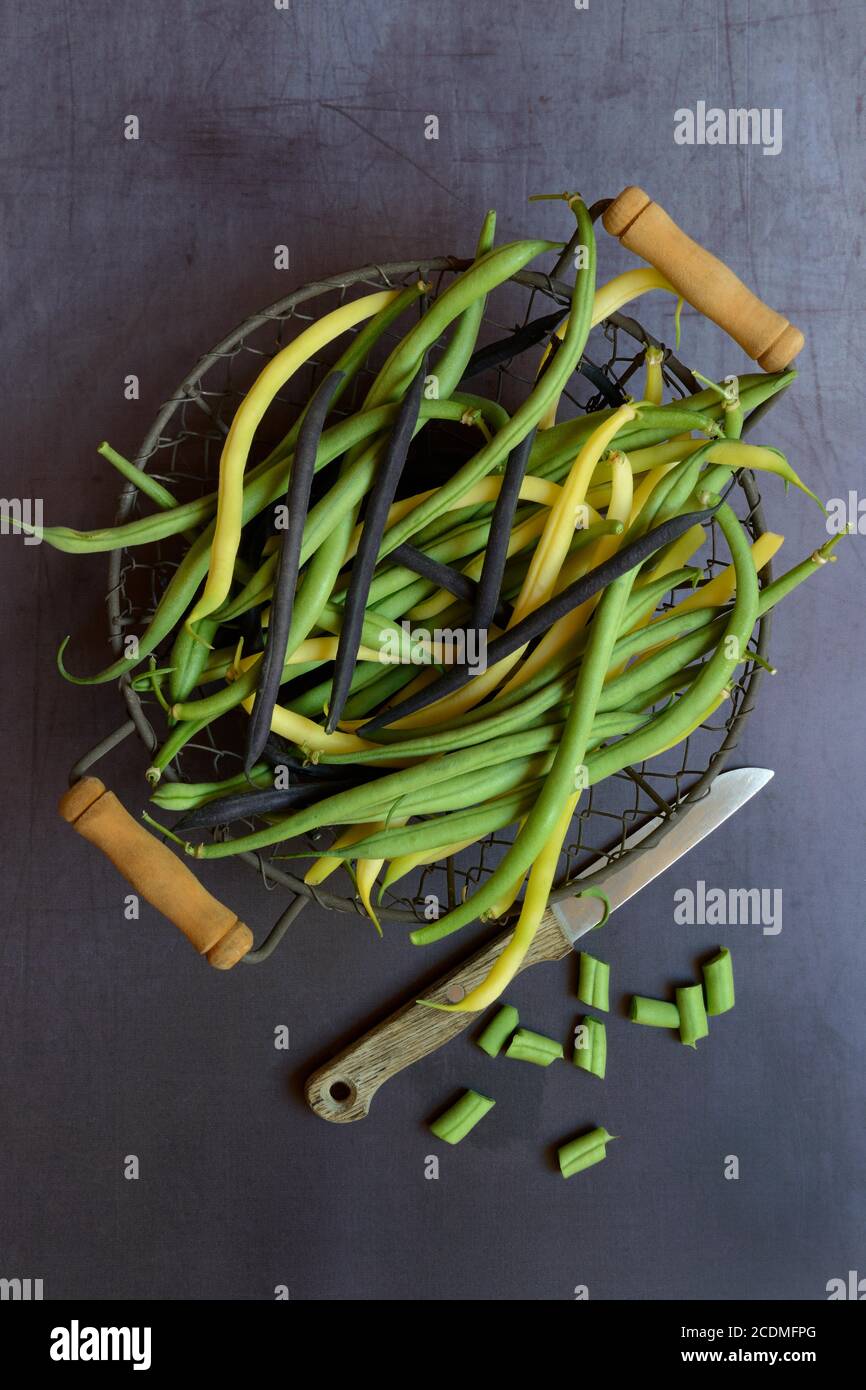 Judías verdes, amarillas y negras en cesta de alambre con cuchillo, Alemania Foto de stock