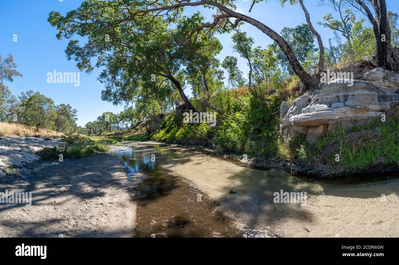 Lecho de arena con agua clara del río Nogoa cerca de la unión con Louisa Creek. Sección Salvator Rosa Parque Nacional Carnarvon, Queensland, Australia Foto de stock