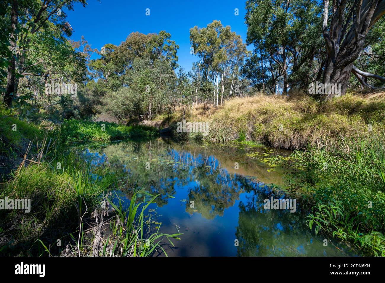 Pozo de agua cerca del cruce de Louisa Creek y el río Nogoa, Salvator Rosa Section Carnarvon National Park, Queensland, Australia Foto de stock