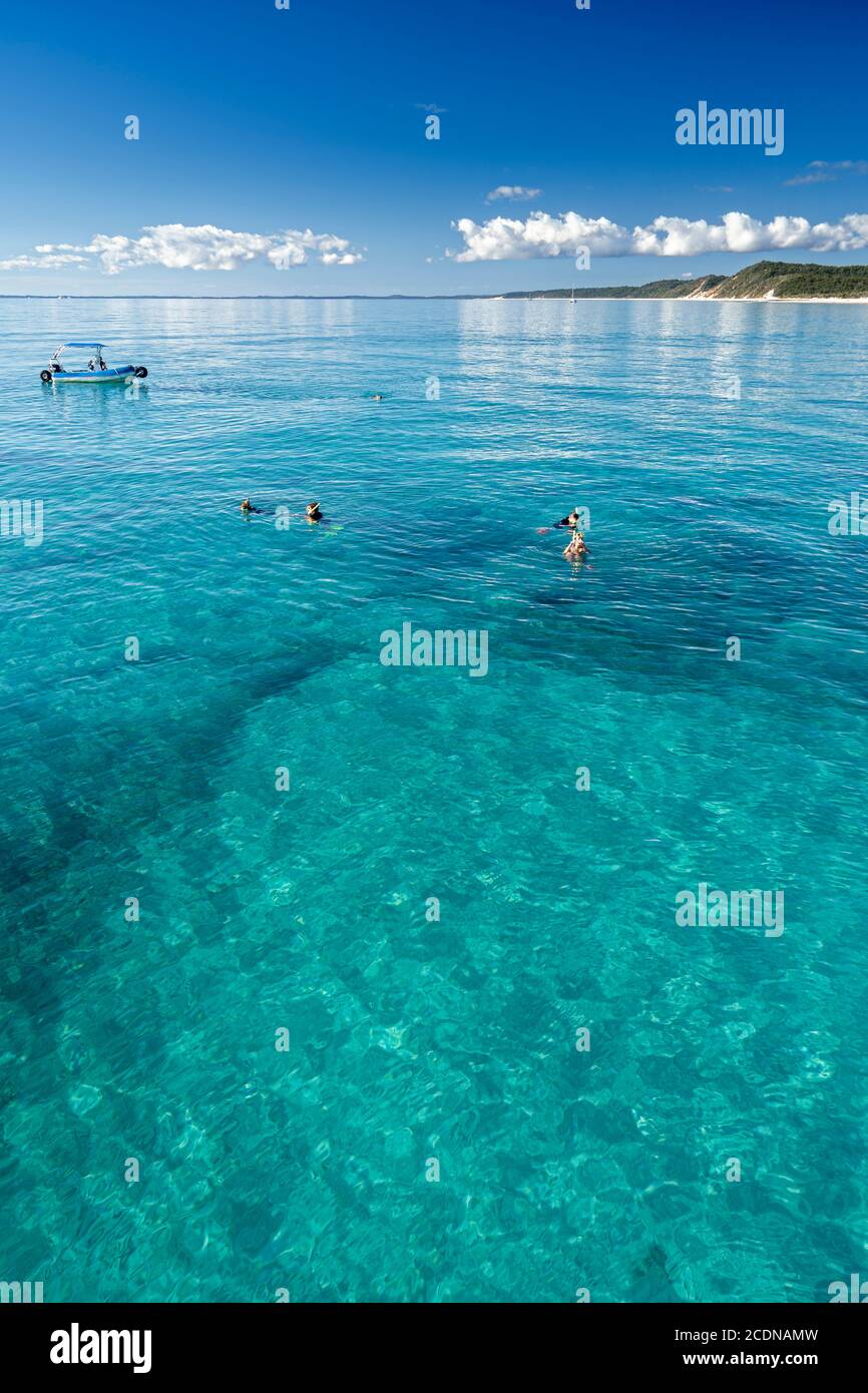 Los turistas bucean en aguas cristalinas de Platypus Bay en la costa oeste de Fraser Island, Hervey Bay, Queensland, Australia Foto de stock