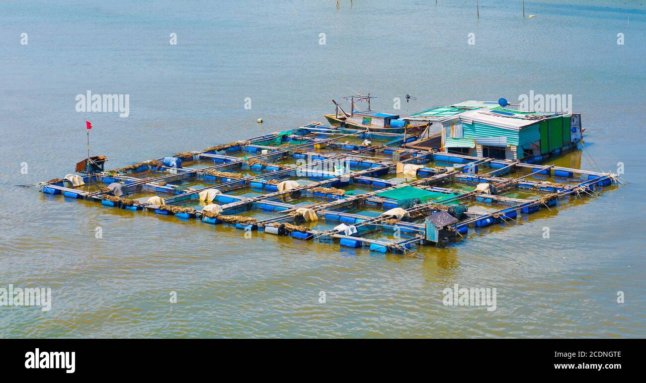 Granja de cría de peces en el sur de Vietnam en el río Foto de stock