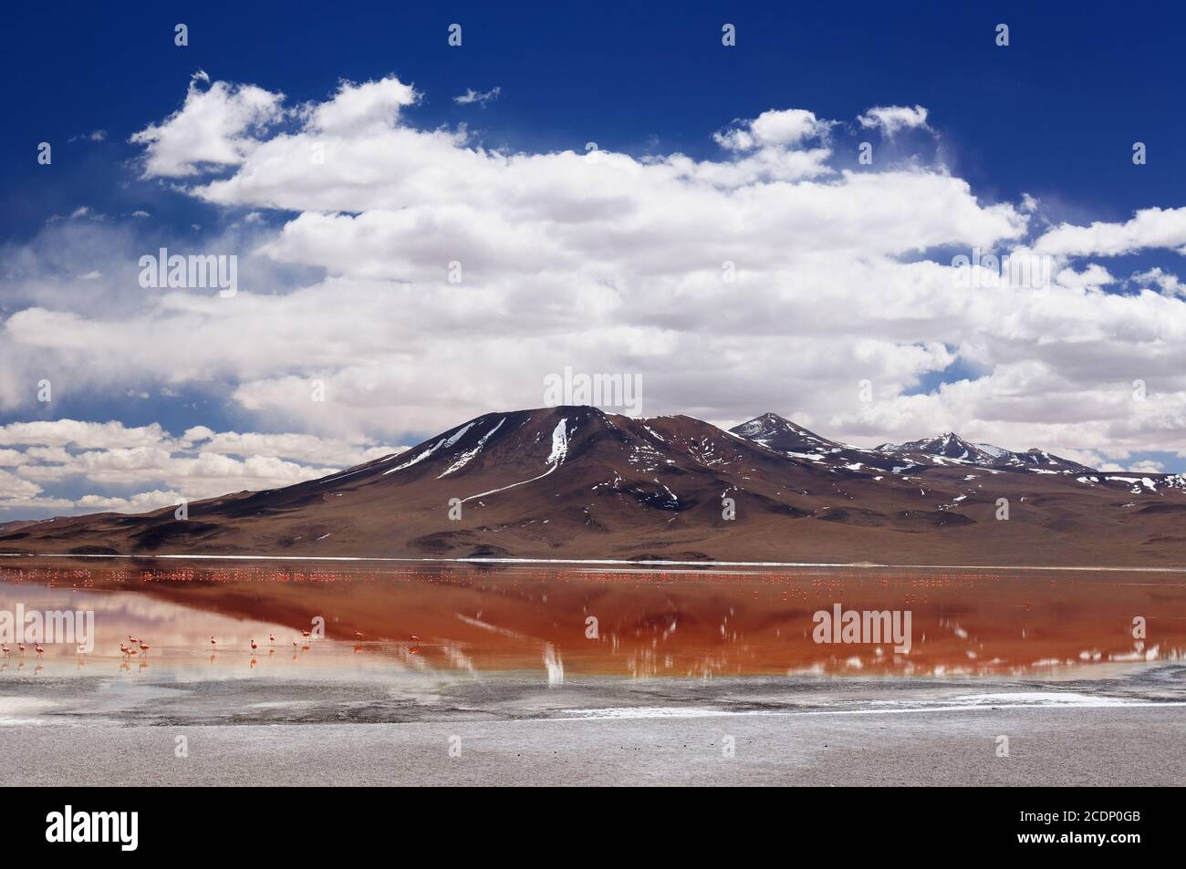 Bolivia, los Andes más hermosos de Sudamérica. El paisaje surrealista es casi sin árboles, salpicado por suaves colinas y volcanes cerca de Chile b Foto de stock