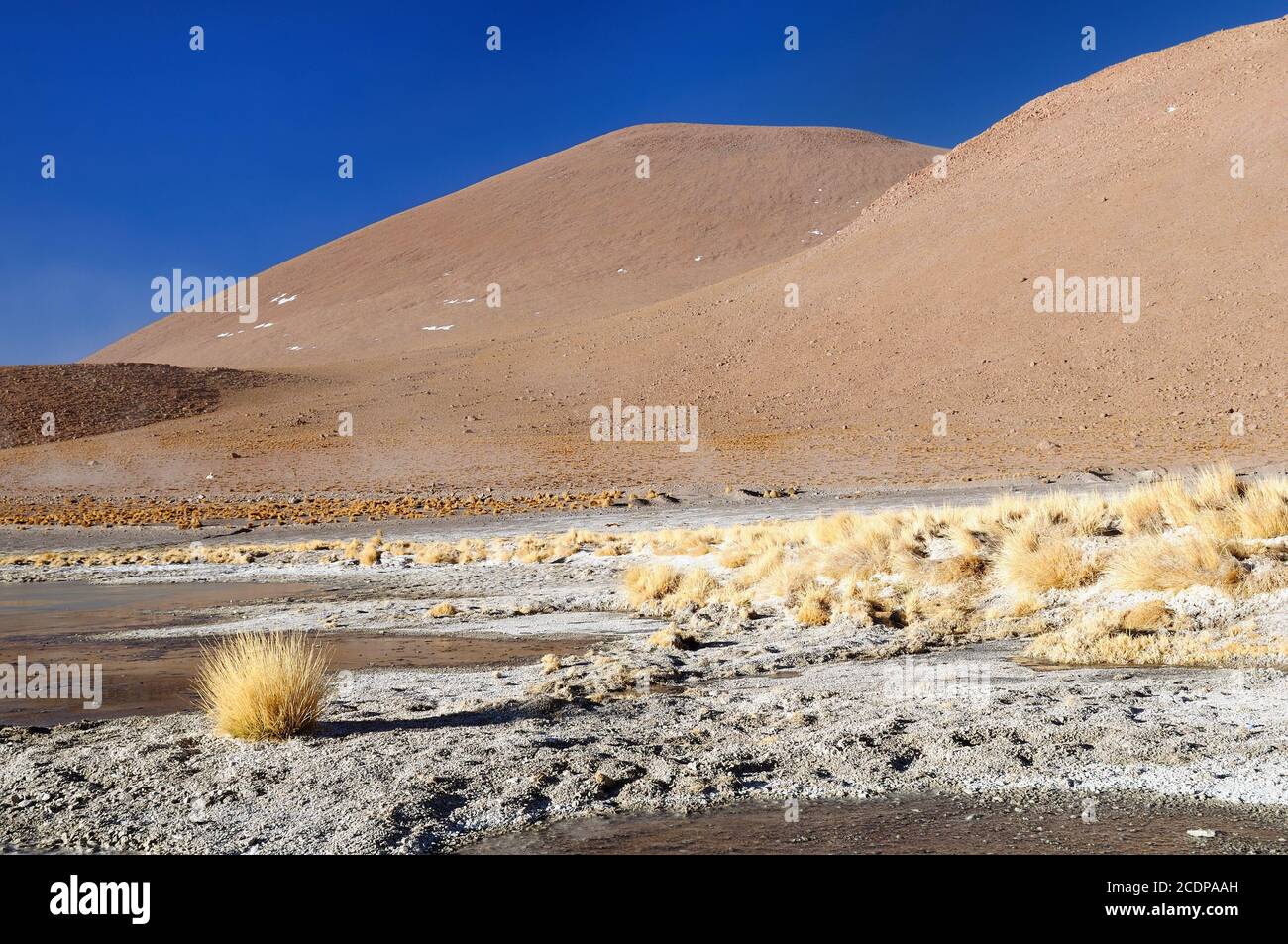 América del Sur - Bolivia. El paisaje surrealista es casi desarbolado, salpicada por colinas y volcanes, cerca de la frontera con Chile. La imagen presente h Foto de stock