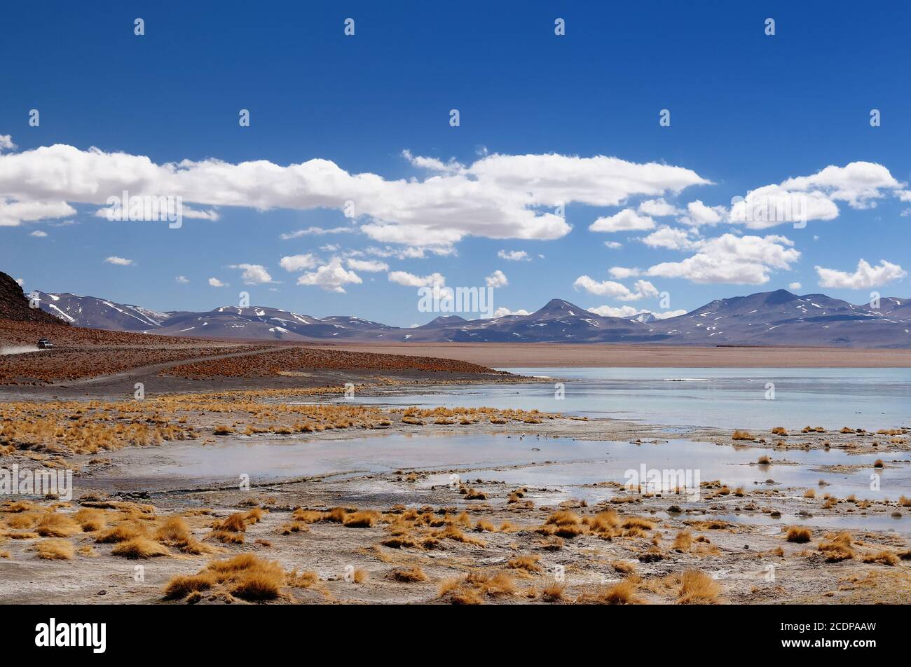 América del Sur - Bolivia. El paisaje surrealista es casi desarbolado, salpicada por colinas y volcanes, cerca de la frontera con Chile. La imagen presente h Foto de stock
