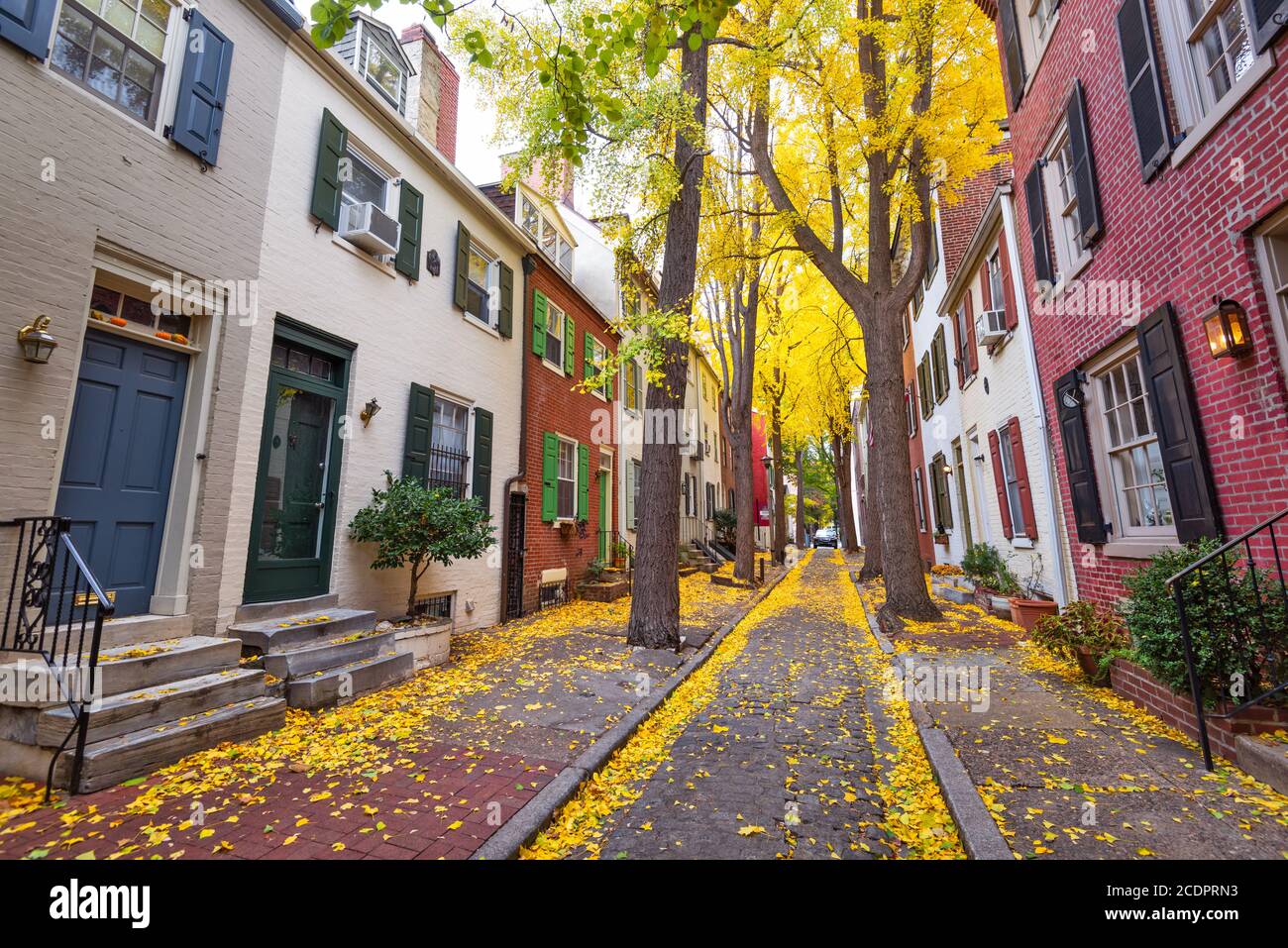 Callejón de otoño en un barrio tradicional en Filadelfia, Pensilvania, EE.UU. Foto de stock