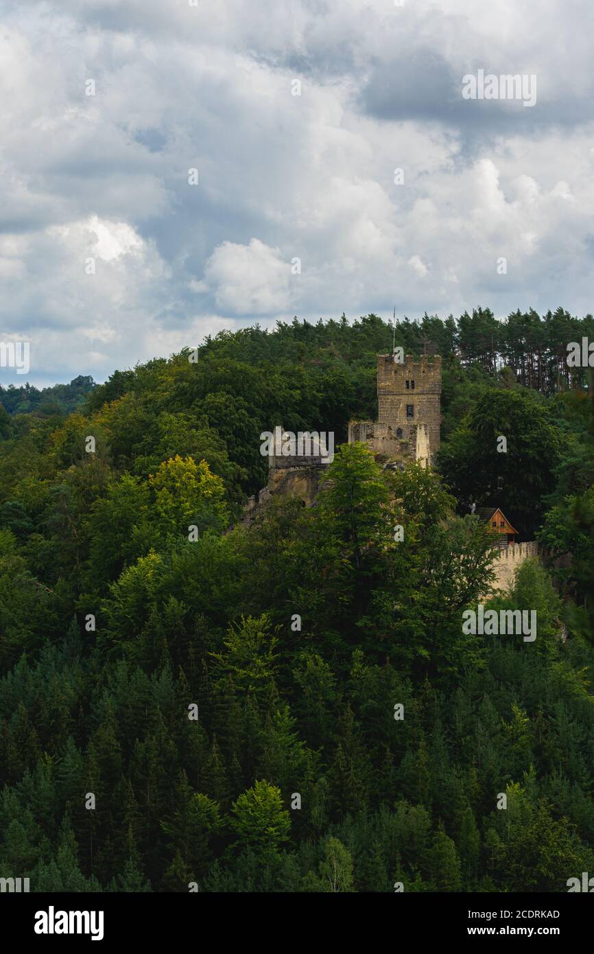 Vista sobre el mantenimiento de la ruina histórica del castillo Helfenburk u Usteka Foto de stock