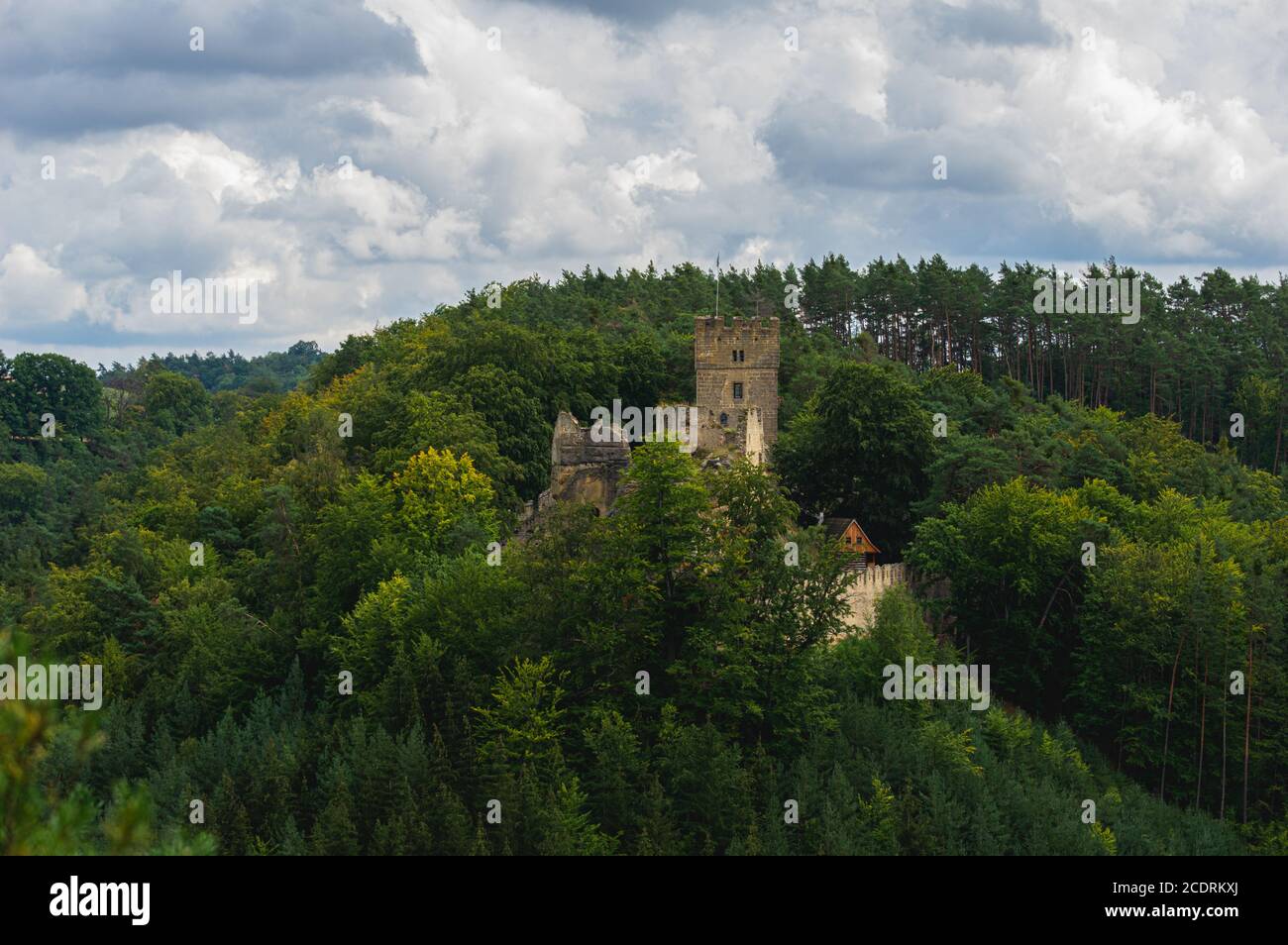 Vista sobre el mantenimiento de la ruina histórica del castillo Helfenburk u Usteka Foto de stock