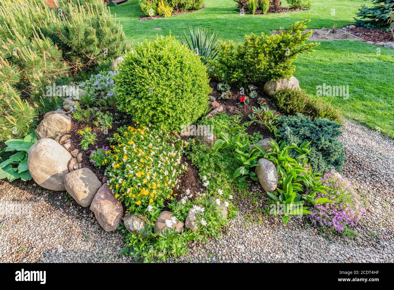Jardín veraniego con plantas verdes, rocas, flores en macizos de flores, césped de mown. Foto de stock