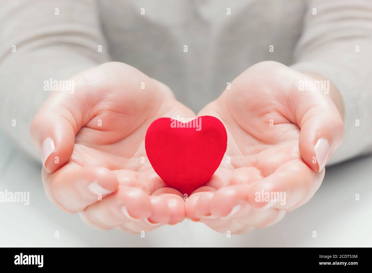 Pequeño corazón rojo en las manos de la mujer en un gesto de dar, proteger Foto de stock