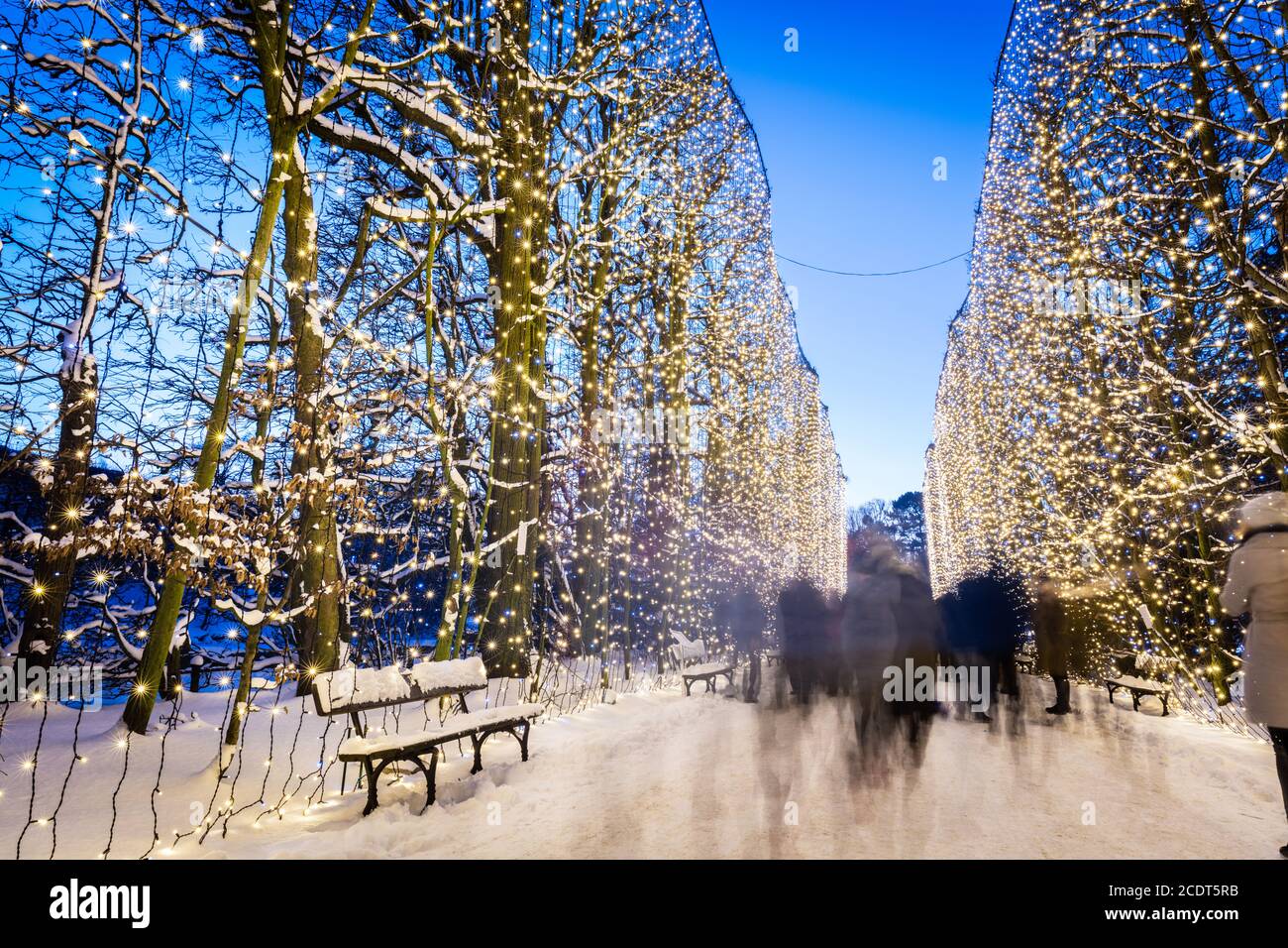 Gente caminando en el parque de invierno decorado con luces. Park Oliwski, Gdansk, Polonia Foto de stock