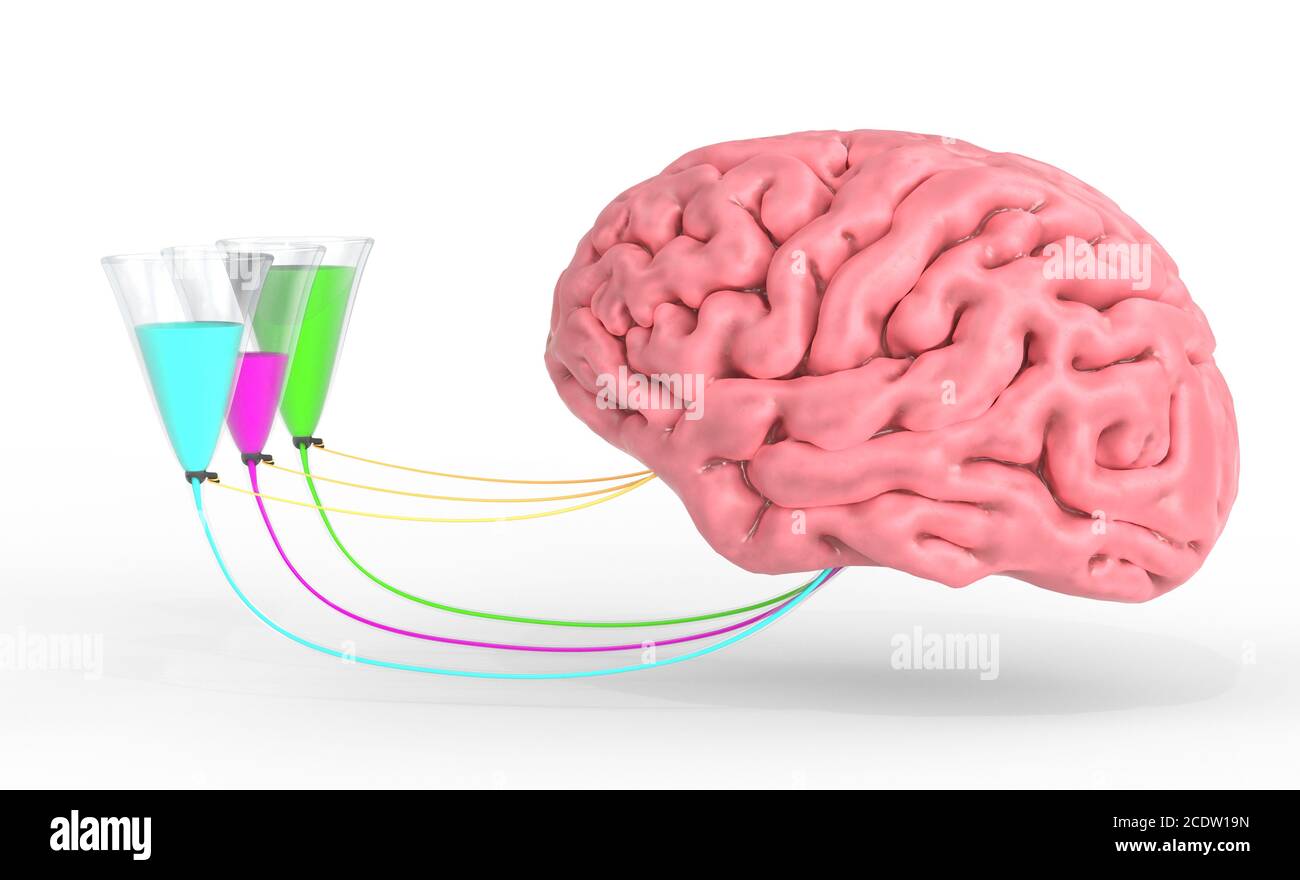 Control cerebral de las hormonas humanas y emociones. Ilustración 3d Foto de stock