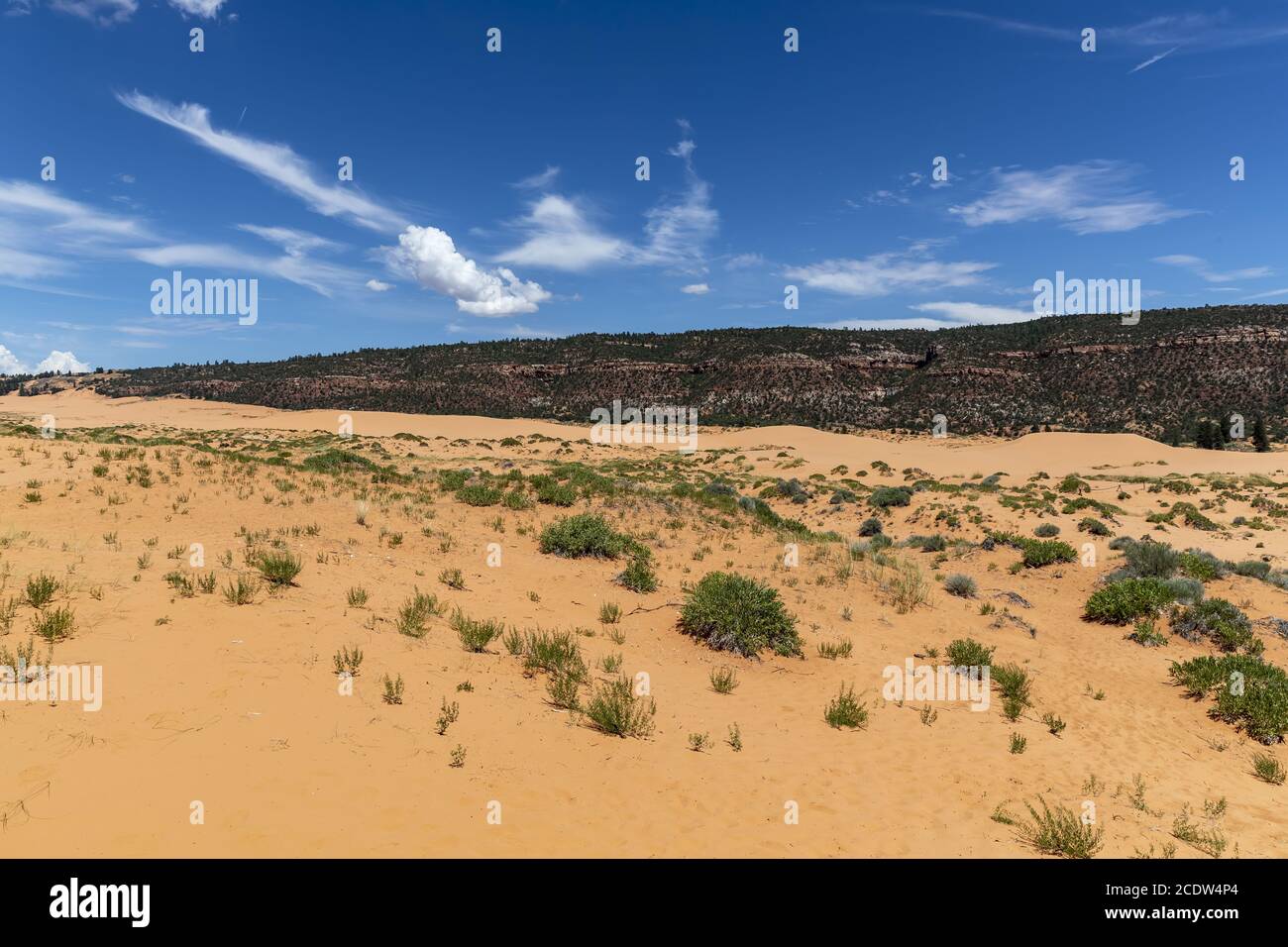 Vistas panorámicas de las dunas de arena en el oeste de los Estados Unidos Foto de stock