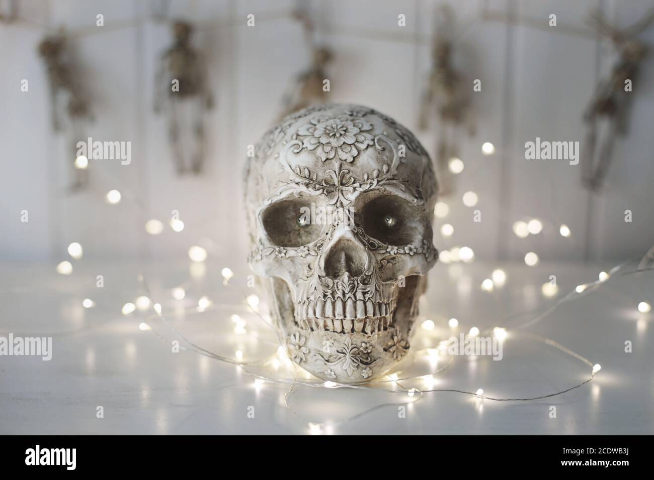 Cráneo de miedo con luces de fondo Foto de stock