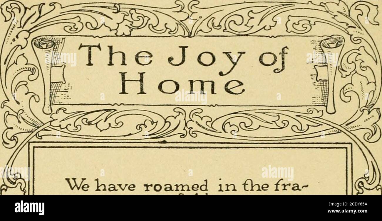 indigo bolsagage status