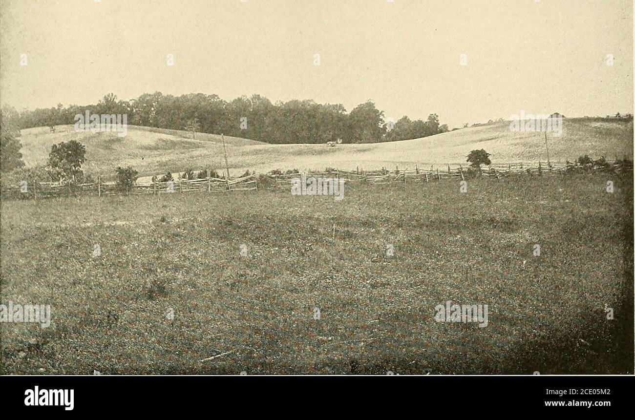 . Encuesta geológica de Maryland . e la formación Sunderland vueltas