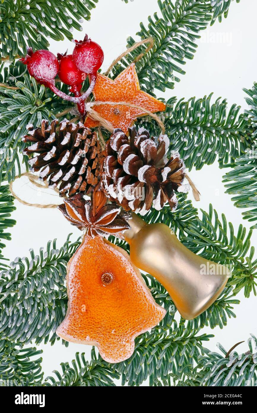 Juguetes de decoración casera de Navidad en ramas de abeto hechos de pels de naranja rojo seco, conos, bayas Foto de stock