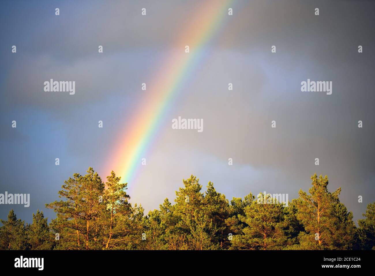 Hermoso espectro arcoiris en el cielo después de la lluvia. Fenómenos coloridos en las nubes. Nadie Foto de stock