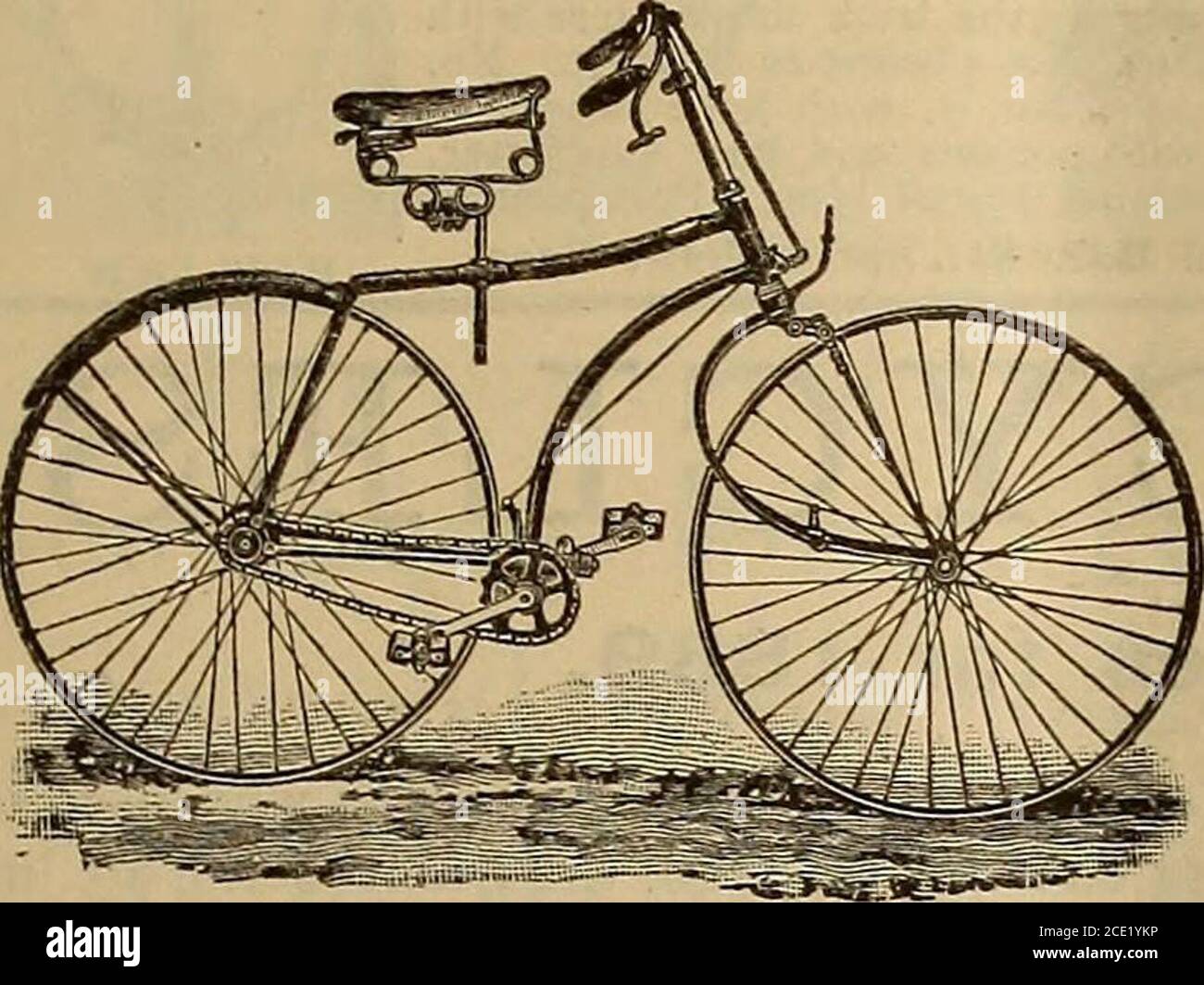 neumaticos buffalo bicicleta